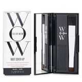 Color Wow Root Cover Up Black / Noir 2.1g