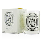 Diptyque Scented Candle - Feuille De Lavande (Lavender Leaf)