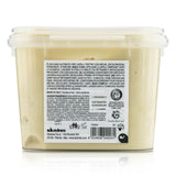 Davines Nounou Nourishing Conditioner (For Highly Processed or Brittle Hair)