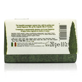 Nesti Dante Dei Colli Fiorentini Triple Milled Vegetal Soap - Cypress Tree 250g/8.8oz
