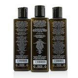 Gentlemen's Tonic Shower Gift Set: Gentle Body Wash 250ml + Daily Shampoo 250ml + Protein Conditioner 250ml