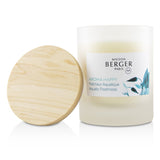 Lampe Berger (Maison Berger Paris) Scented Candle - Aroma Happy