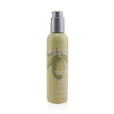 ABBA Smoothing Blow Dry Lotion