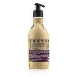 Seed Phytonutrients Color Care Conditioner (For Color-Treated Hair)