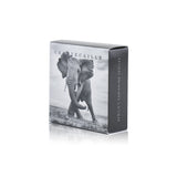 Chantecaille Luminescent Eye Shade - # Elephant (Shimmering Taupe Grey)