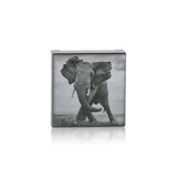 Chantecaille Luminescent Eye Shade - # Elephant (Shimmering Taupe Grey)