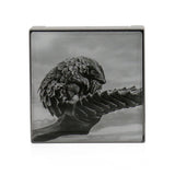 Chantecaille Luminescent Eye Shade - # Pangolin (Dusty Lilac)