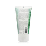 R+Co Television Perfect Hair Conditioner