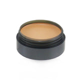 Cinema Secrets Ultimate Corrector Singles - # 606(26) Medium Blue Neutralizer (Box Slightly Damaged)