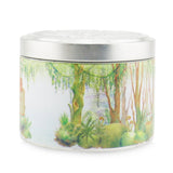 The Candle Company (Carroll & Chan) 100% Beeswax Tin Candle - Tropical Forest