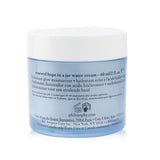 Philosophy Renewed Hope In A Jar Water Cream 60ml/2oz