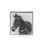 Chantecaille Luminescent Eye Shade - # Zebra (Rose Gold) 2.5g/0.08oz