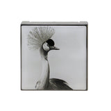 Chantecaille Luminescent Eye Shade - # Crane (Smokey Burgundy) 2.5g/0.08oz