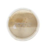 DermaQuest DermaMinerals Buildable Coverage Loose Mineral Powder SPF 20 - # 2W 11.4g/0.4oz