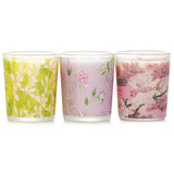Carroll & Chan 3 Votive Set: Sakura, Jasmine, Rose & Cranberry, Ginger Lily  3pcs