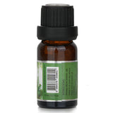 Carroll & Chan Fragrance Oil - # Tropical Forest  10ml/0.3oz