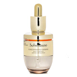 Sulwhasoo Concentrated Ginseng Rescue Ampoule 20g/0.7oz