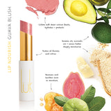 Luk Beautifood Lip Nourish 3g - Guava Blush