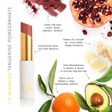 Luk Beautifood Lip Nourish 3g - Tangerine Pomegranate