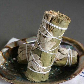 diseno Living Eucalyptus With White Sage Bundles - 4" Vacuum Packed (own Farm In California Direct)  Fixed Size