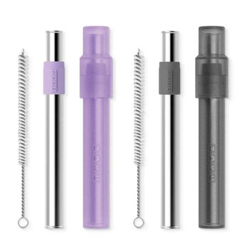 ZOKU Stainless Steel Reusable Bubble Tea Pocket Straw 2 Set Combo (Charcoal, Purple)  Fixed Size