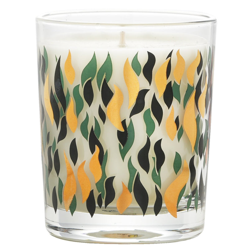 Diptyque Scented Candle - Sapin (Pine Tree)  70g