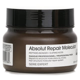 L'Oreal Serie Expert Absolut Repair Molecular Mask  250ml