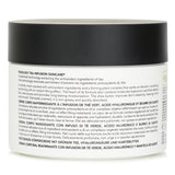 Teaology Jasmine Tea Firming Body Cream  260ml