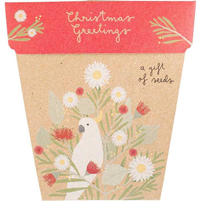 Sow 'n Sow Gift of Seeds Christmas Greetings