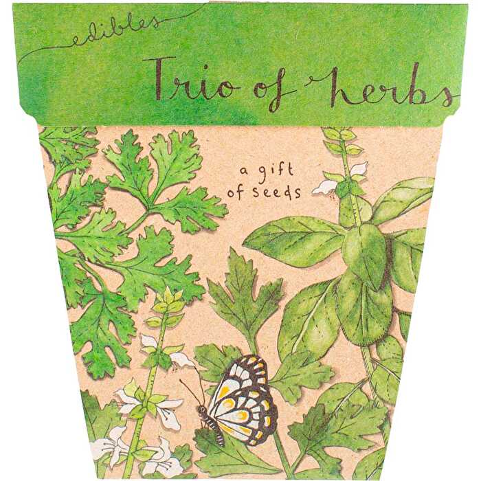 Sow 'n Sow Gift of Seeds Trio of Herbs