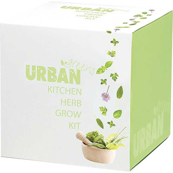 Urban Greens Grow Kit Kitchen Herbs 10x10cm