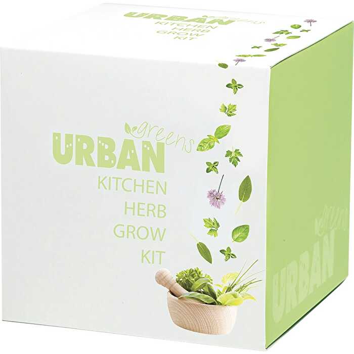 Urban Greens Grow Kit Kitchen Herbs 10x10cm