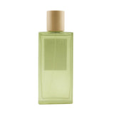 Loewe Aire Eau De Toilette Spray  100ml/3.4oz