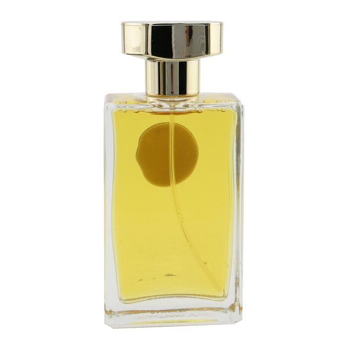 Fred Hayman Touch Eau De Toilette Spray 100ml/3.4oz