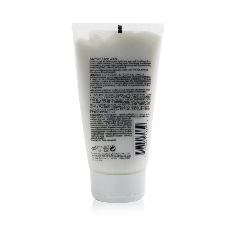 Origins Checks & Balances Frothy Face Wash  150ml/5oz