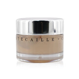 Chantecaille Future Skin Oil Free Gel Foundation - Porcelain 