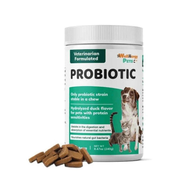 Wellnergy Pets Wellnergy Pets - PROBIOTICS for dogs and cats #Veterinarian Formulated #Non-GMO 240.0g/ml (850013105090)  Fixed Size