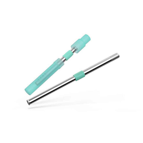 ZOKU Stainless Steel Reusable Bubble Tea Pocket Straw (Carrying Case & Cleaning Brush Included) - Teal  Fixed Size
