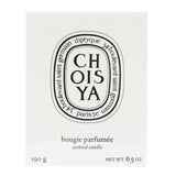 Diptyque Scented Candle - Choisya (Mexican Orange Blossom)  190g/6.5oz