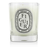 Diptyque Scented Candle - Figuier (Fig Tree) 