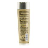 Goldwell Kerasilk Control Shampoo (For Unmanageable, Unruly and Frizzy Hair) 