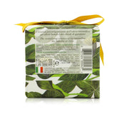 Nesti Dante Gli Officinali Soap - Ivy & Clove - Therapeutic & Relaxing 
