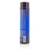 Joico Color Balance Blue Shampoo (Eliminates Brassy/Orange Tones on Lightened Brown Hair) 