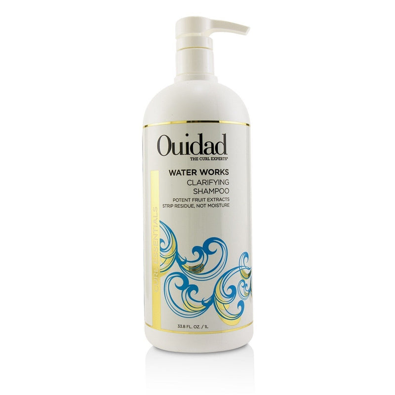 Ouidad Water Works Clarifying Shampoo (Curl Essentials) 