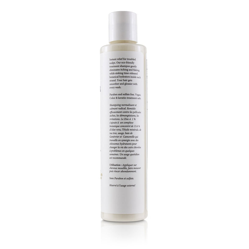 Philip B Anti-Flake Relief Shampoo - # Coal Tar Free (Scalp Savior - For Dry Itchy Scalps)  220ml/7.4oz