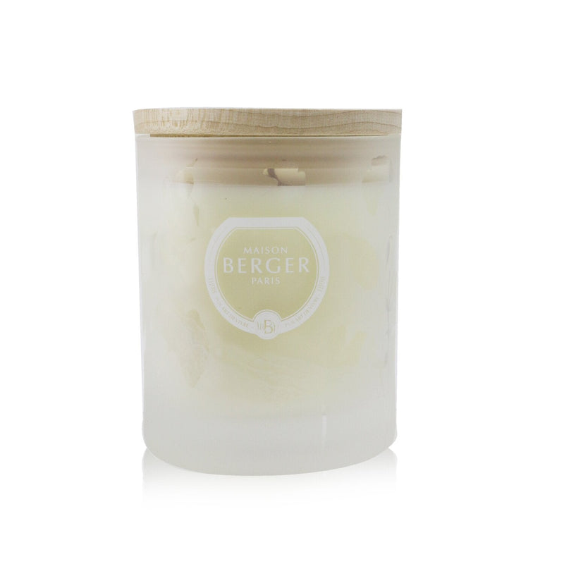 Lampe Berger (Maison Berger Paris) Scented Candle - Aroma Relax 