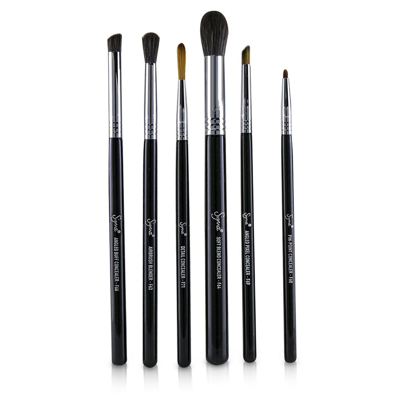 Sigma Beauty Spot On Concealer Kit Professional Brush Collection 