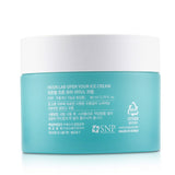 SNP Hddn=Lab Open Your Ice Cream (Soothing & Cooling Icy Face Cream) 