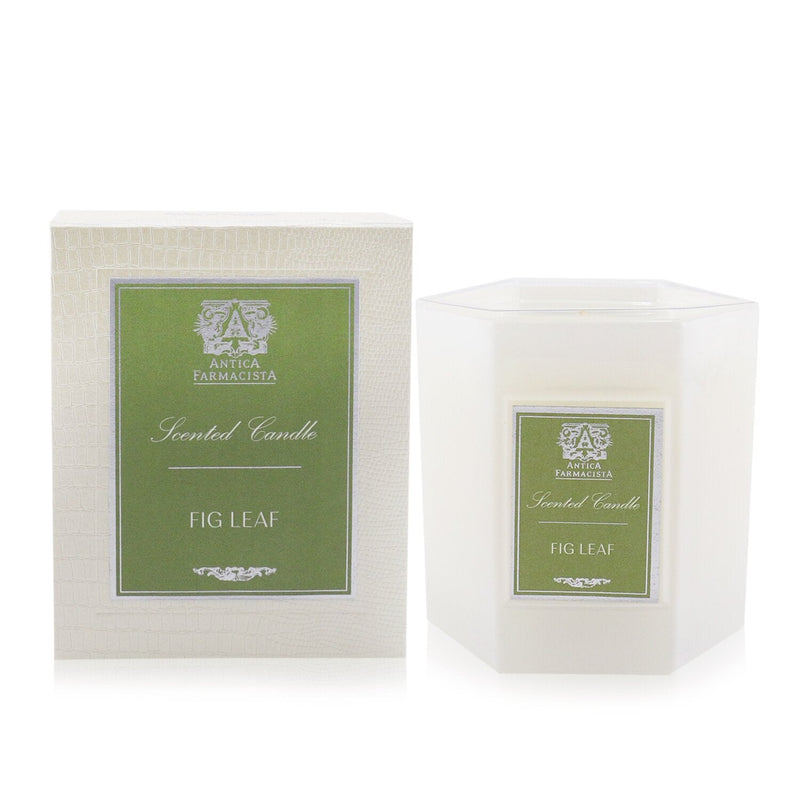 Antica Farmacista Candle - Fig Leaf 