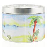 The Candle Company (Carroll & Chan) 100% Beeswax Tin Candle - Green Seas 